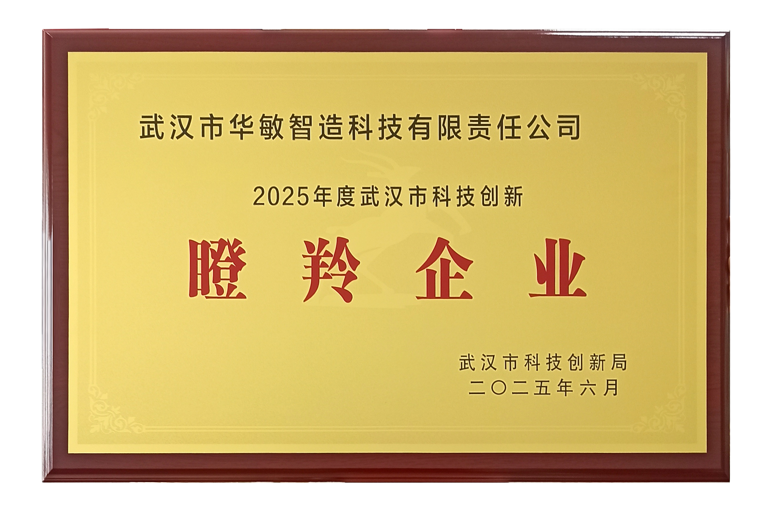 瞪羚企業(yè)2025
